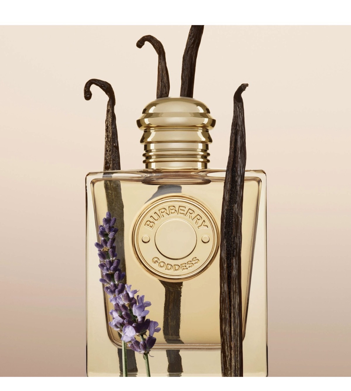 Curated arrangement of accessories and products on a cream surface